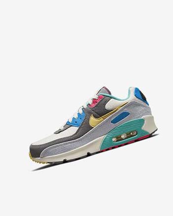 Nike Air Max 90 Vrijetijdsschoenen Meisjes Grijs Roze | NL_2728