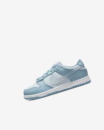 Nike Dunk Low Sneakers Meisjes Blauw Wit | NL_2611