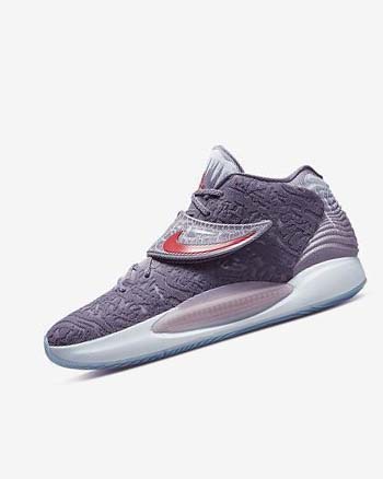 Nike KD14 Basketbalschoenen Heren Gekleurd Gekleurd | NL_5106