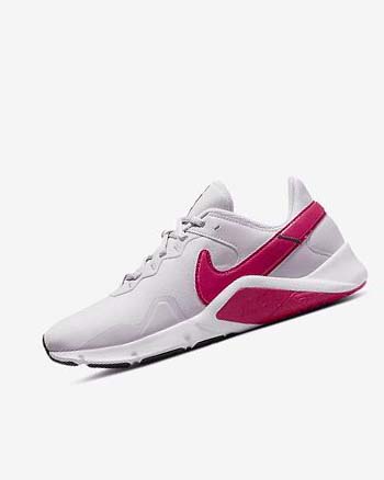 Nike Legend Essential 2 Training schoenen Dames Wit Blauw Roze | NL_5169