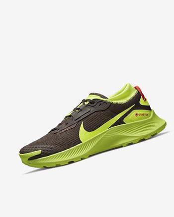 Nike Pegasus Trail 3 GORE-TEX Trailrunning Schoenen Heren Donkerchocola Lichtrood | NL_2498