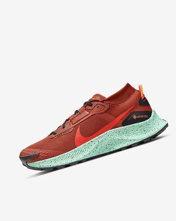 Nike Pegasus Trail 3 GORE-TEX Waterdichte Trailrunning Schoenen Heren Oranje Zwart Oranje Rood | NL_4934